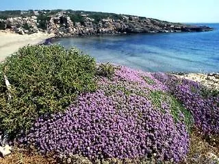 Sunset B&b/apartments פונטנה ביאנקה